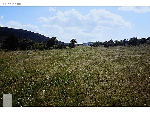ÇANAKKALE BAYRAMİÇ MURATLAR KÖYÜ 45.000 m2 TARLA - ÇANAKKALE BAYRAMİÇ fotoğraf 3