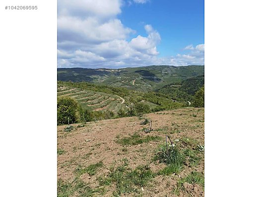 BURSA İZNİK TACİR KÖYÜNDE 13.056 M TARLA SATILIKTIR - BURSA İZNİK fotoğraf 20