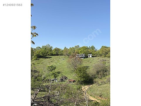 BURSA İZNİK AYDINLAR KÖYÜNDE 4.745 M TARLA SATILIKTIR - BURSA İZNİK fotoğraf 5