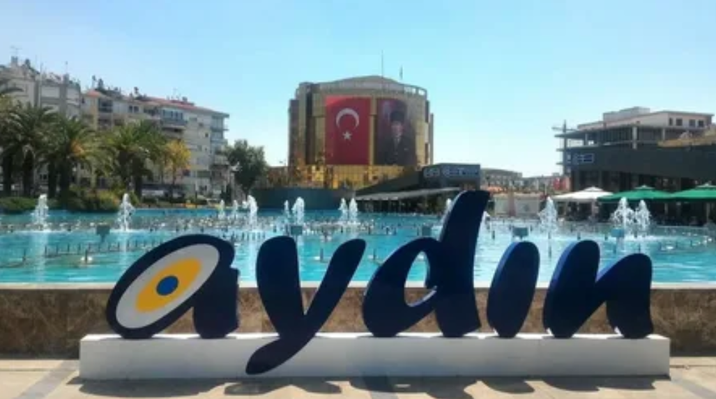 AYDIN EFELER ORTAKÖY KÖYÜNDE 858 M² ARSA SATILIKTIR. - AYDIN EFELER fotoğraf 10
