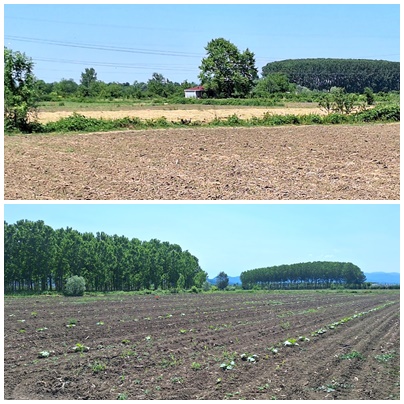 ERENLER KAMIŞLI MAHALLESİNDE SATILIK 3.370 M2 TARLA - SAKARYA ERENLER fotoğraf 9