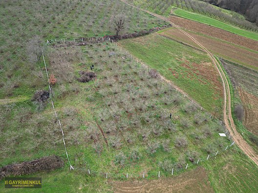 Ferizli Hocaoğlu'nda Satılık 2400 m² Fındık Bahçesi - SAKARYA FERİZLİ fotoğraf 37