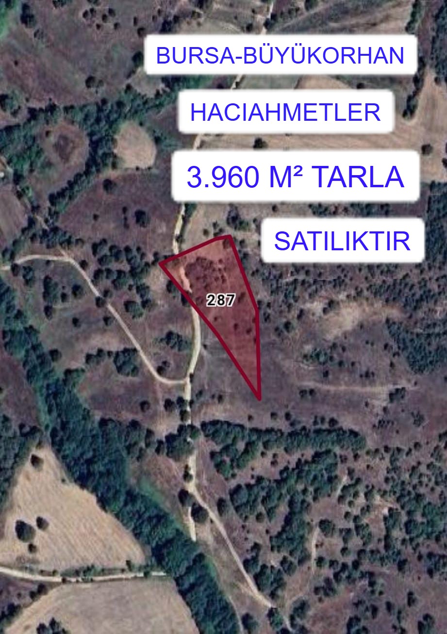 BURSA BÜYÜKORHAN HACIAHMETLER MAH. 3.960M² TARLA SATILIKTIR - BURSA BÜYÜKORHAN fotoğraf 2
