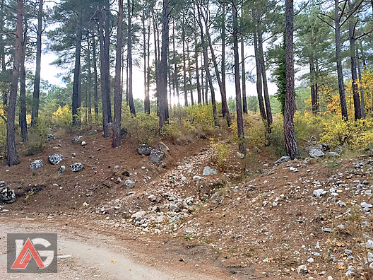 !!! FIRSAT TEKLİF !!! KARACAÖREN MAH. 564m2 ARAZİ UYGUN FİYAT !! - ANTALYA KUMLUCA fotoğraf 5