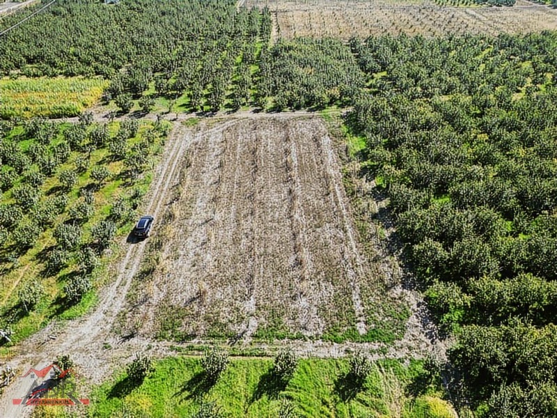 SAKARYA GEYVE UMURBEY MAH. 2444,26 M2 SATILIK TARLA - SAKARYA GEYVE fotoğraf 11