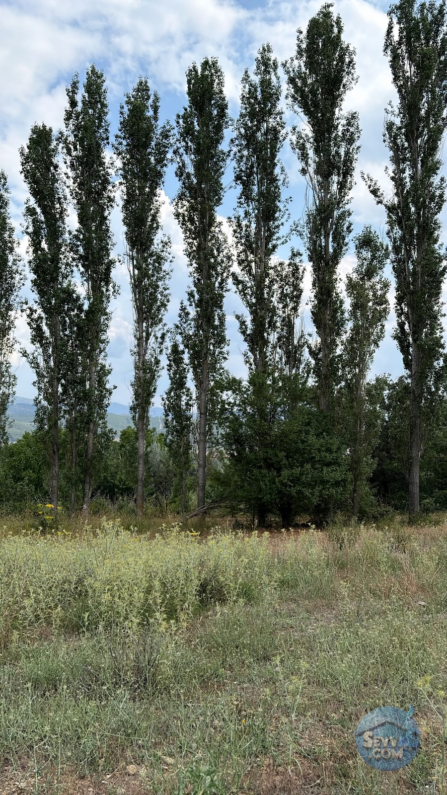 AĞLASUN KIRAÇ MAHALLESİNDE SATILIK FIRSAT ARAZİ - Burdur Ağlasun fotoğraf 33