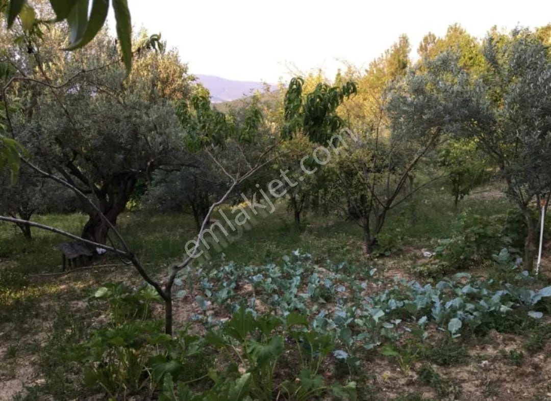 Yeliz'den Manisa Soma'da Merkeze Yakın Hobi Bahçesi - MANİSA SOMA fotoğraf 19