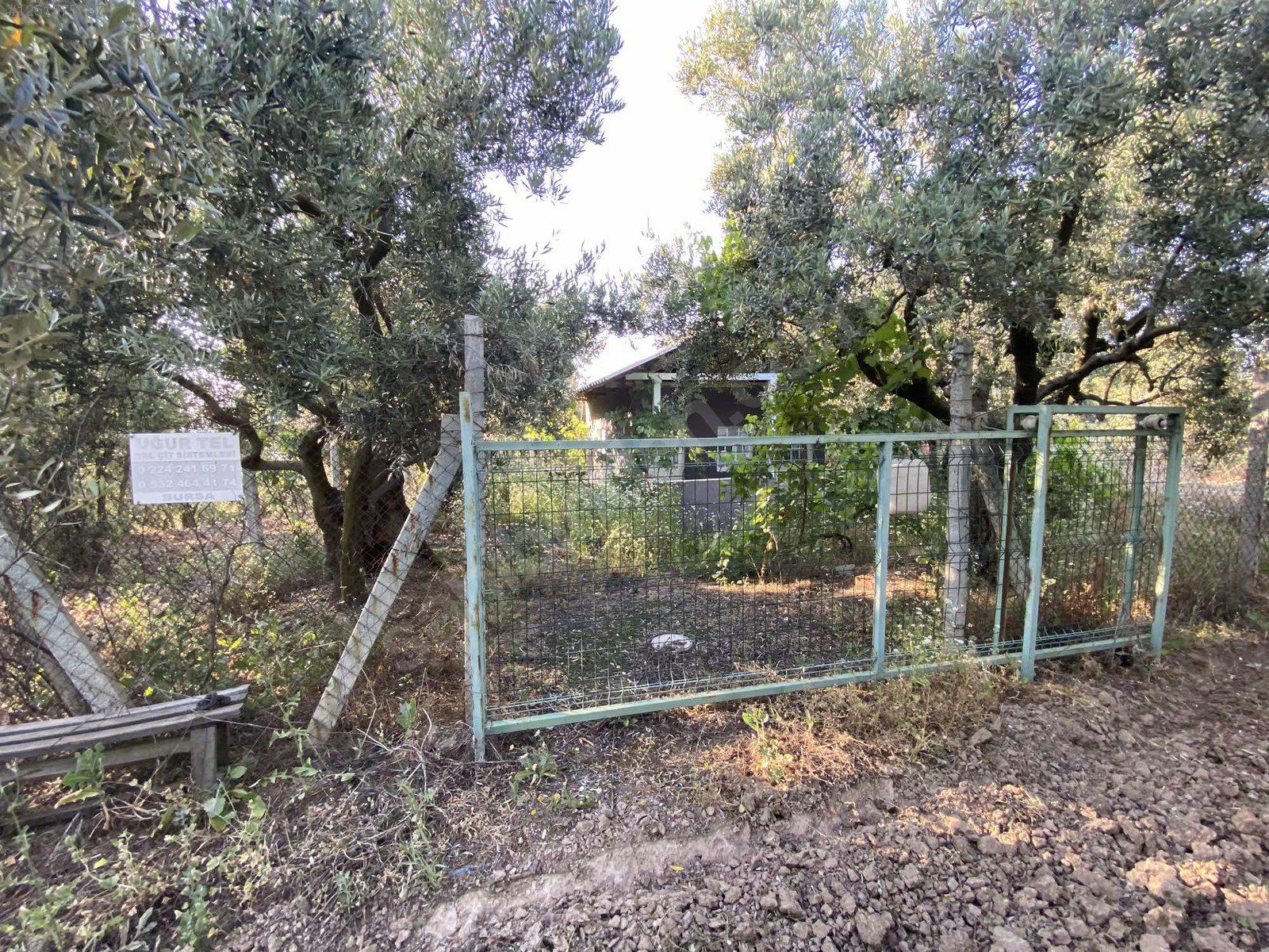 BURSA MUDANYA DEREKÖY KÖYÜNDE 3.673 M² ZETİNLİK SATILIKTIR. - BURSA MUDANYA fotoğraf 21