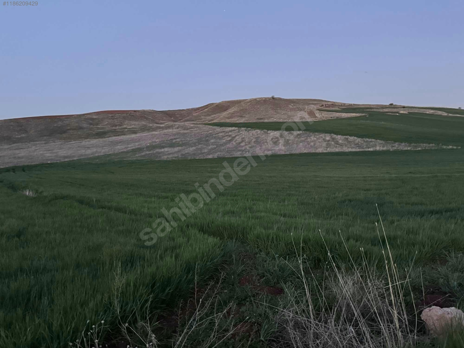 ANKARA ÇUBUK MELİKŞAH KÖYÜNDE TARLAMIZIN 501 M² Sİ SATILIKTIR - ANKARA ÇUBUK fotoğraf 4