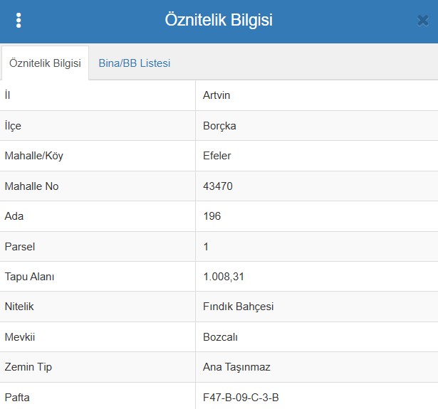 ARTVİN BORÇKA EFELER  KÖYÜ’NDE 1.008 M² FINDIK BAHÇESİ SATILIKTIR - ARTVİN BORÇKA fotoğraf 6
