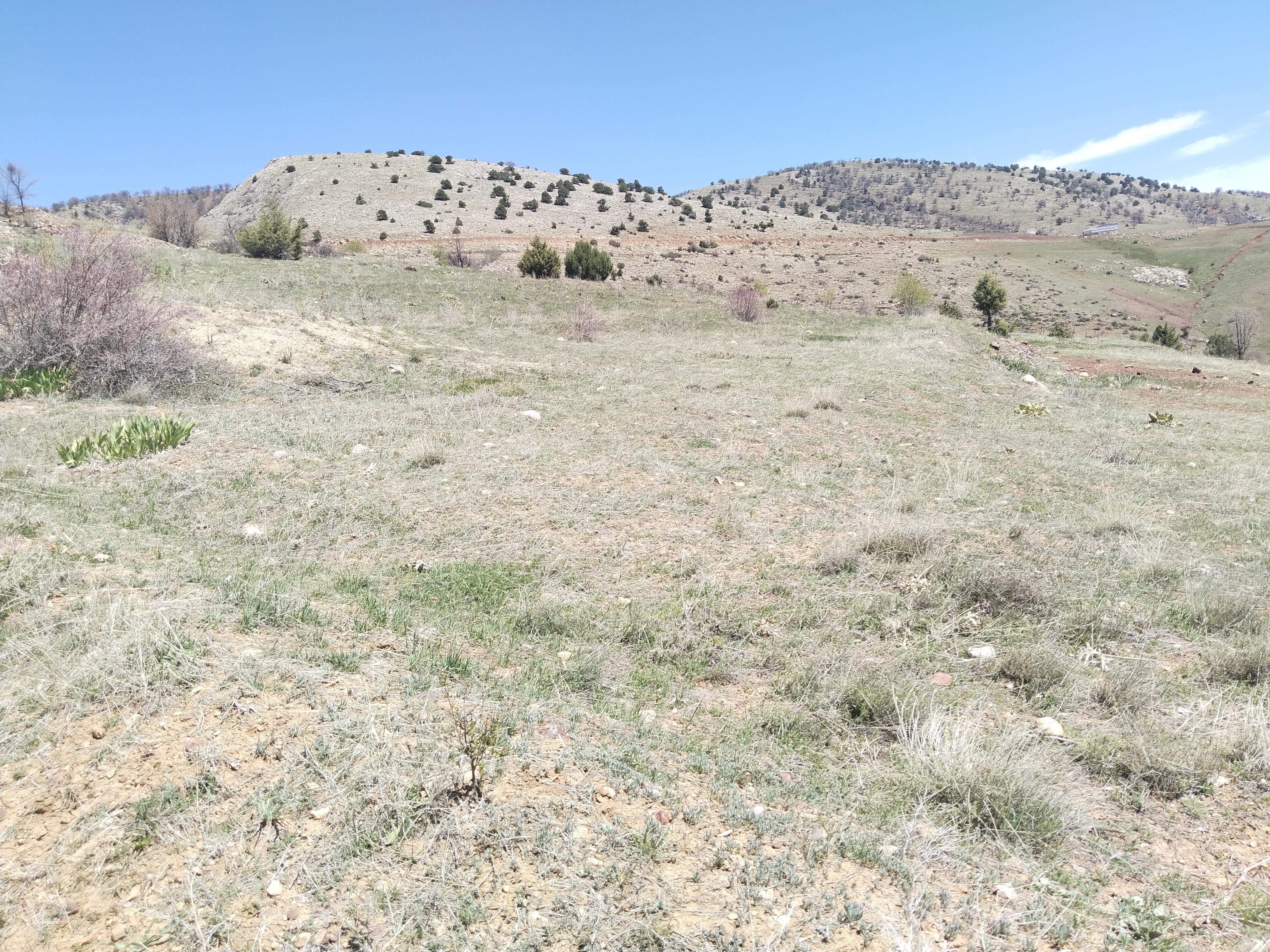 KONYA HADİM YUKARIEŞENLER KÖYÜ'NDE 653 M² TARLAMIZ SATILIKTIR - KONYA HADİM fotoğraf 31