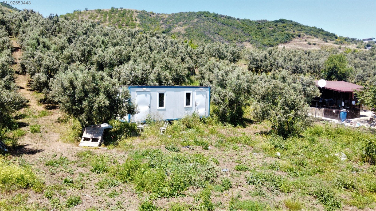 BURSA MUDANYA ÇEPNİ KÖYÜNDE 2.110 M² ZEYTİNLİK SATILIKTIR. - BURSA MUDANYA fotoğraf 10