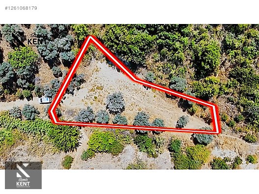 Kemalpaşa Yukarıkızılca Satılık 950 m2 Bahçe Tek Tapu - İZMİR KEMALPAŞA fotoğraf 14