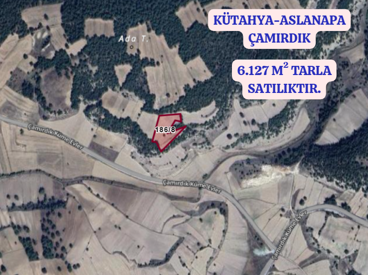 KÜTAHYA ASLANAPA ÇAMIRDIK   KÖYÜNDE 6.127  M² TARLA  SATILIKTIR - KÜTAHYA ASLANAPA fotoğraf 2
