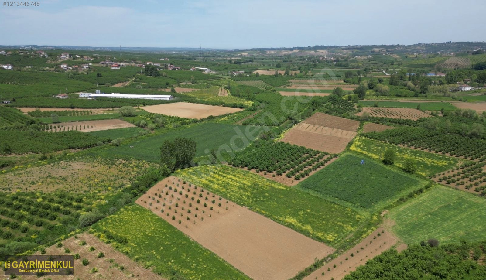 YATIRIM FIRSATI 3.962 M² TARLA FERİZLİ SARIAHMETLER MAH. - SAKARYA FERİZLİ fotoğraf 30