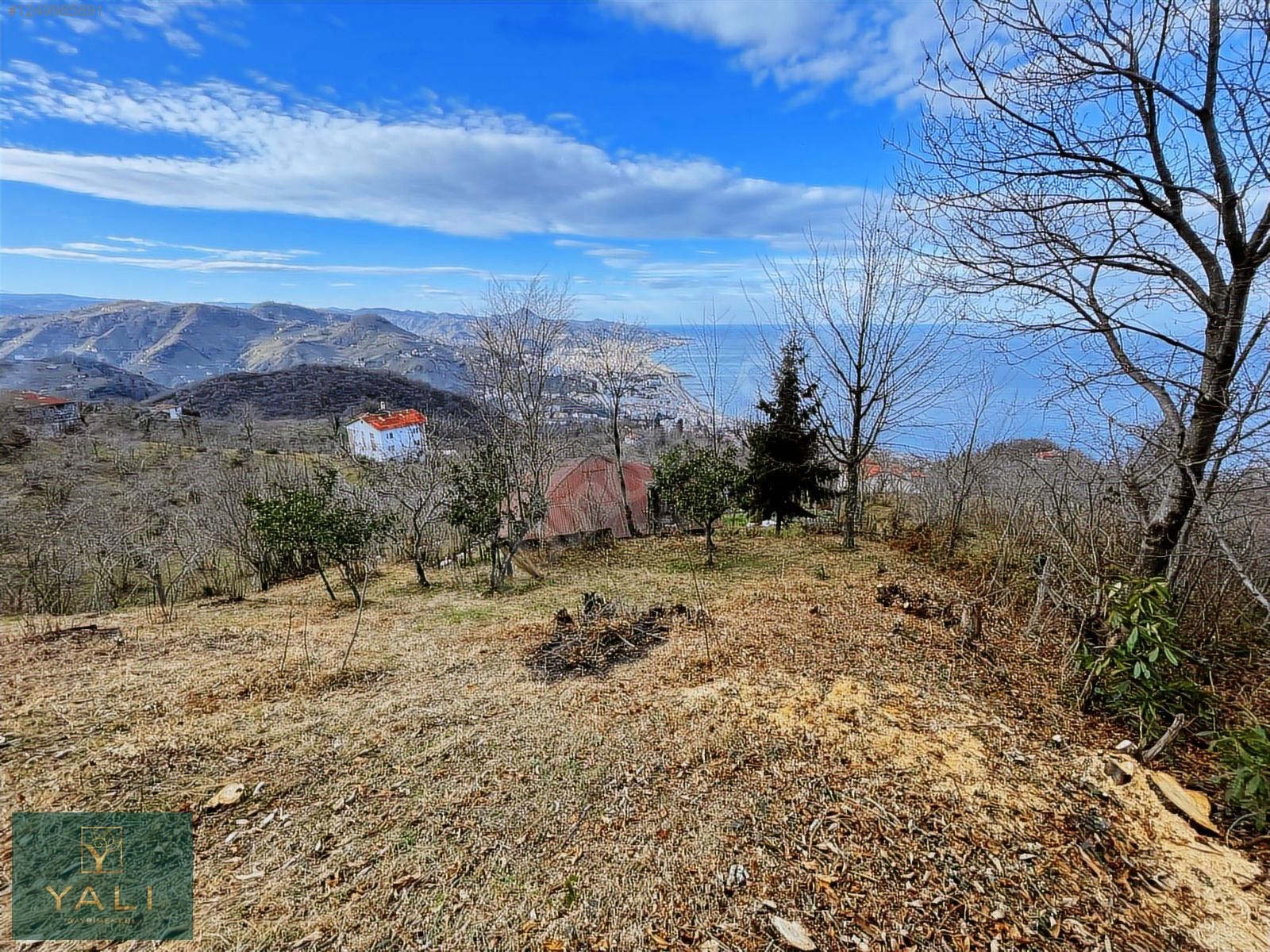 ÇITLAKKALEDE 1050M2 MUHTEŞEM DENİZ MANZARALI İMARLI ARSA - GİRESUN MERKEZ fotoğraf 6
