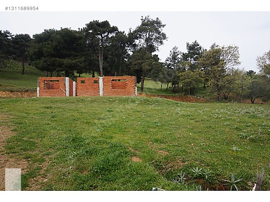 ÇANAKKALE BAYRAMİÇ DALOBA KÖYÜ 4781 m2 TARLA - ÇANAKKALE BAYRAMİÇ fotoğraf 5