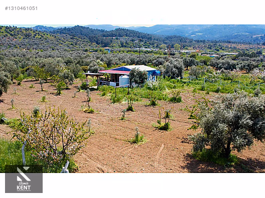 Kemalpaşa Halilbeylide Satılık 3000 m2 Bahçe 40 m2 Ev - İZMİR KEMALPAŞA fotoğraf 16