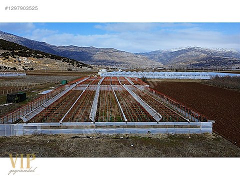 VİP GAYRİMENKUL'den IMIRCIK MAH. 7.601m² SERA - ANTALYA ELMALI fotoğraf 2