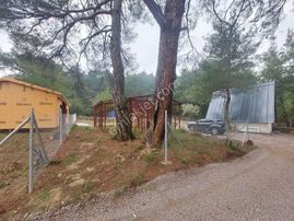 İzmır Kemalpaşa Yukarıkızılca'da 700m² Hisse Tapulu Satılık Bahçe - İZMİR KEMALPAŞA fotoğraf 4