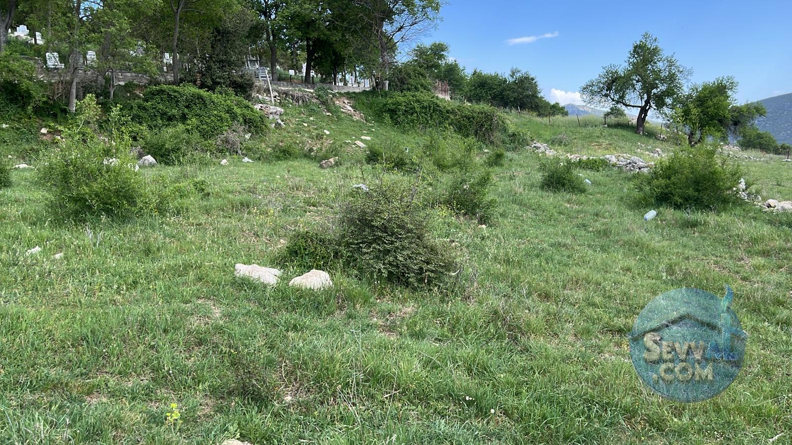AĞLASUN YAZIR KÖYÜNDE FIRSAT ARAZİ - BURDUR AĞLASUN fotoğraf 6