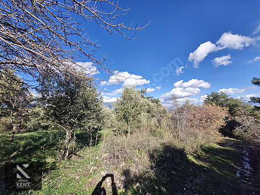 Kemalpaşa Soğukpınar Satılık 325 m2 İmar Sınırında Bahçe - İZMİR KEMALPAŞA fotoğraf 15