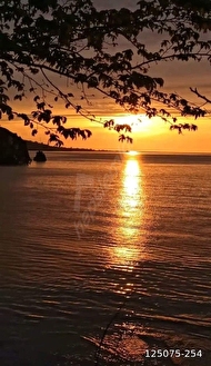 perşembe ramazan mahallesinde satılık imarlı bahçe - ORDU PERŞEMBE fotoğraf 2