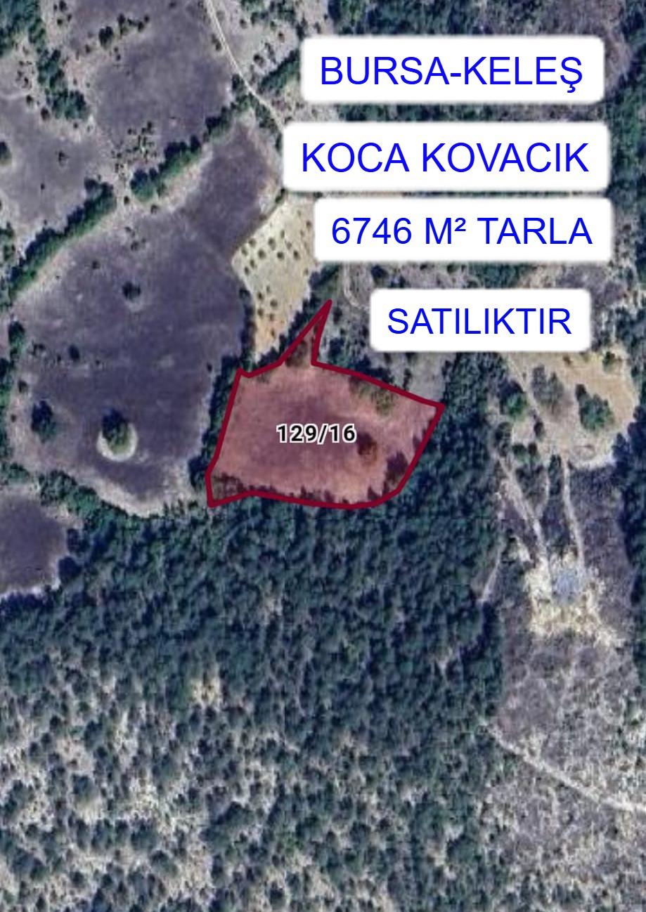 BURSA KELEŞ KOCA KOVACIK MAH. 6746M² TARLA SATILIKTIR - BURSA KELES fotoğraf 5