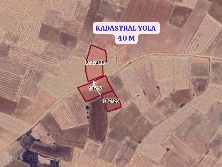 UŞAK KARAHALLI BEKİ KÖYÜNDE  1.601 M² TARLA  SATILIKTIR  - UŞAK KARAHALLI fotoğraf 3