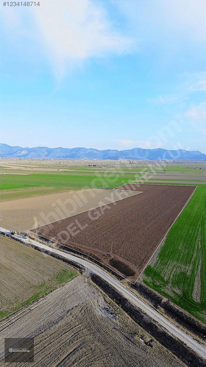 BUCAK KARAALİLER KÖYÜ 82 DÖNÜM TEK TAPU HALİNDE SULU TARLA - BURDUR BUCAK fotoğraf 2