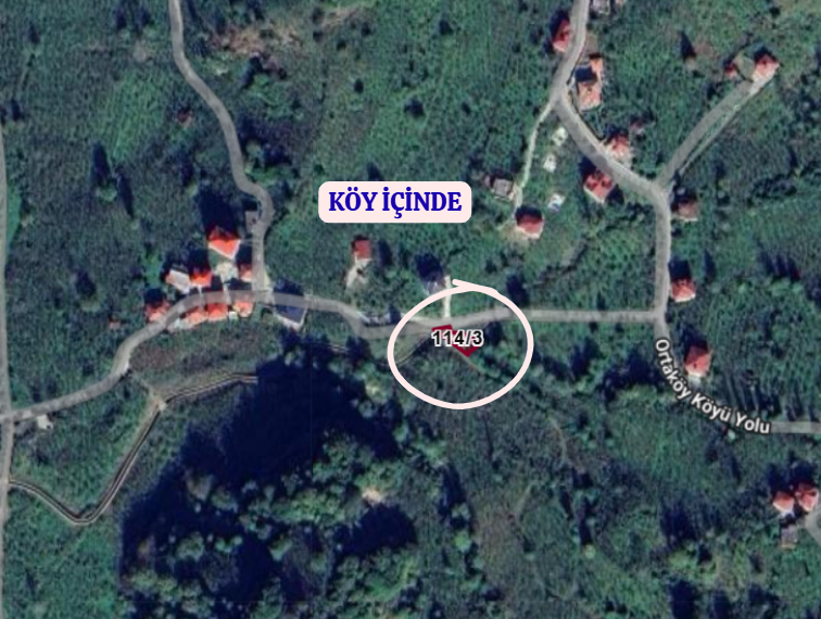TRABZON ARAKLI ORTAKÖY  KÖYÜNDE  191  M² FINDIK BAHÇESİ  SATILIKTIR - TRABZON ARAKLI fotoğraf 4