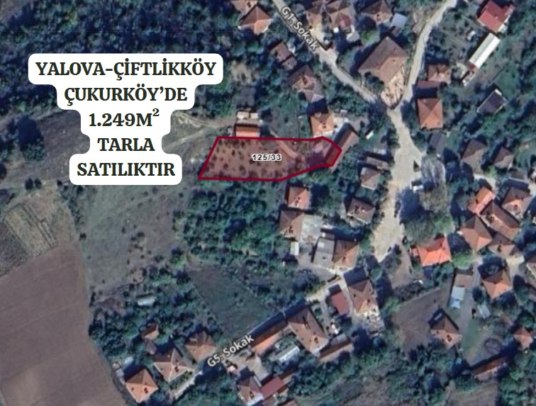 YALOVA ÇİFTLİKKÖY ÇUKURKÖY KÖYÜ’NDE 1.249 M²  TARLA SATILIKTIR - YALOVA ÇİFTLİKKÖY fotoğraf 2