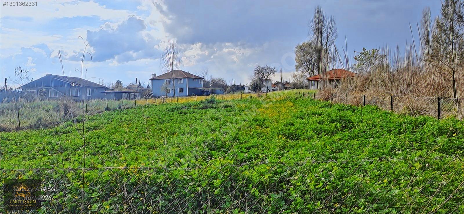 KÖYCEĞİZ YANGIDA SATILIK TARLA - MUĞLA KÖYCEĞİZ fotoğraf 11