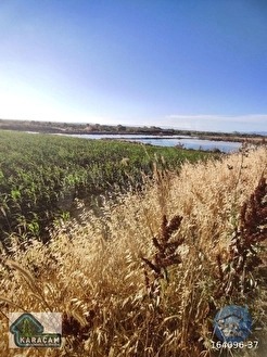 Çanakkale Biga Gerlengeç Köyünde Satılık Tarla - ÇANAKKALE BİGA fotoğraf 20