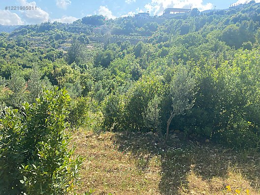 İmarlı İfrazlı Parsel 524 M² Hatay / Samandağ / Yaylıca Mh. - HATAY SAMANDAĞ fotoğraf 9