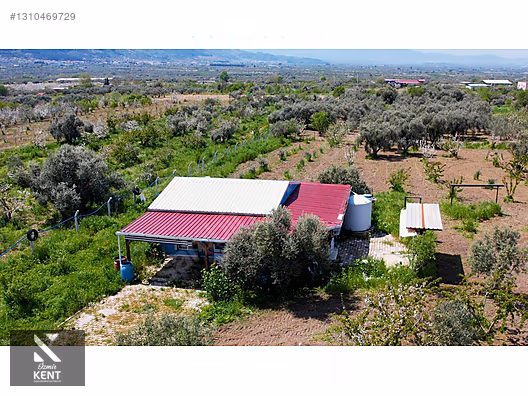 Kemalpaşa Halilbeylide Satılık 3000 m2 Bahçe 40 m2 Ev - İZMİR KEMALPAŞA fotoğraf 6