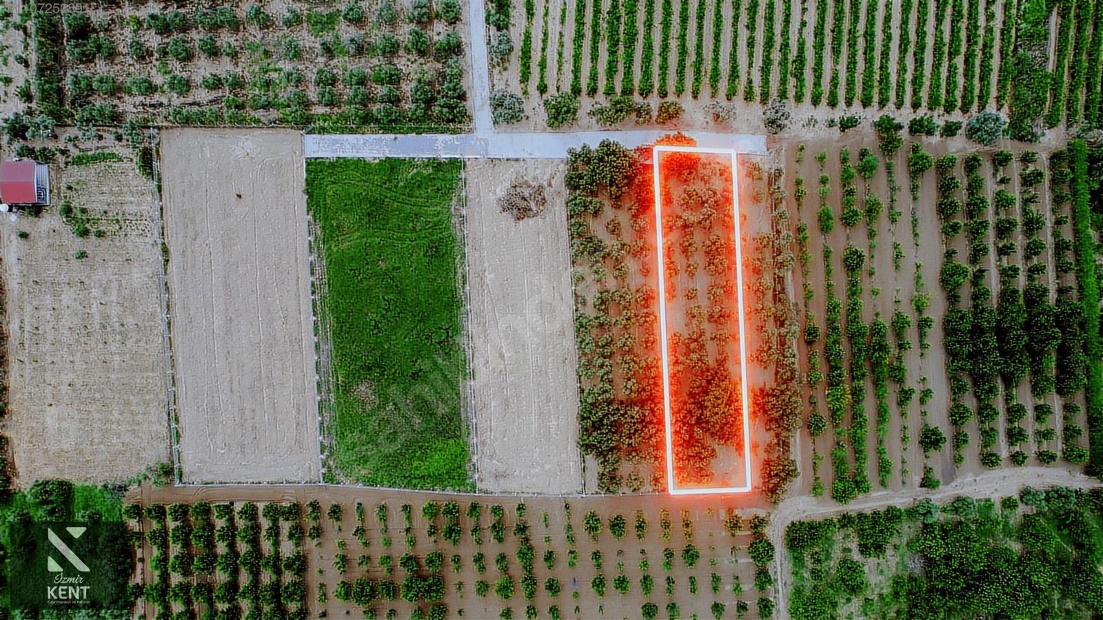 Kemalpaşa Aşağıkızılca Satılık Bahçe Tek Tapu 881 m2 - İZMİR KEMALPAŞA fotoğraf 17