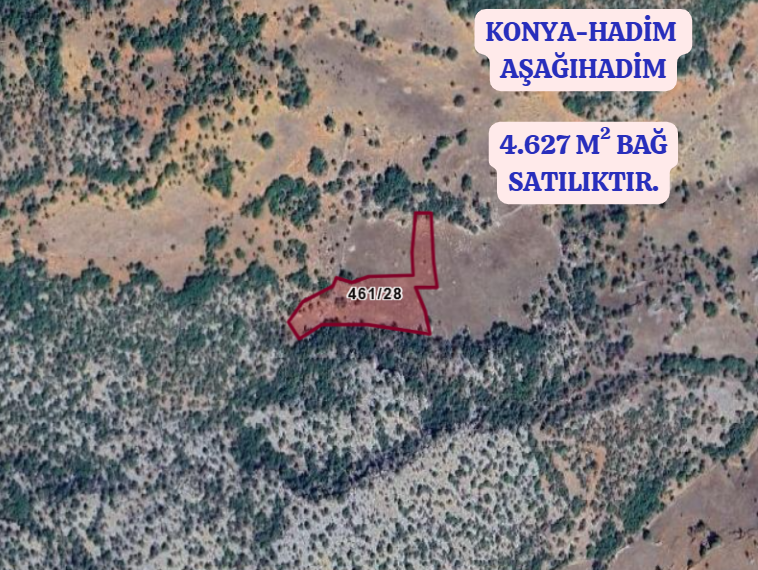 KONYA HADİM AŞAĞIHADİM  KÖYÜNDE 4.627 M² BAĞ  SATILIKTIR - KONYA HADİM fotoğraf 2