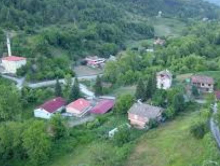 BARTIN ULUS DÖNGELLER KÖYÜNDE 2.412 M² TARLA SATILIKTIR. - BARTIN ULUS fotoğraf 9