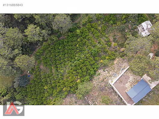 Doğanın İçinde, Deniz Gören, Elektrik ve Suyu Hazır Fırsat Arazi - ANTALYA KUMLUCA fotoğraf 21