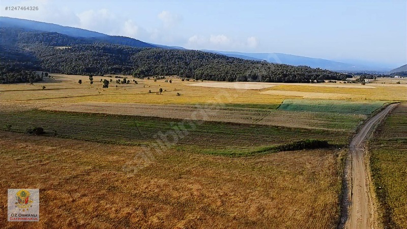 RESMİ YOLU OLAN 4,600 m2 ÇİFTLİK ARAZİSİ KAÇMAZ ! - BİLECİK OSMANELİ fotoğraf 4