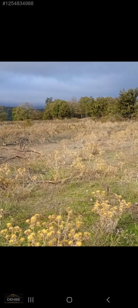 Denge Gayrimenkul BALIKESİR SUSURLUK GÜRECE'DE YATIRIMLIK ARAZİ - BALIKESİR SUSURLUK fotoğraf 6