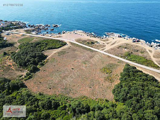 BAĞIRGANLI'DA ARKASI ORMAN ÖNÜ DENİZ 1093 M2 EŞSİZ SATILIK HİSSE - KOCAELİ KANDIRA fotoğraf 3