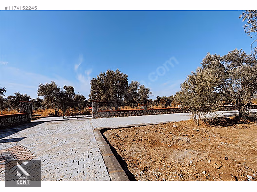 Kemalpaşa Sekiz Eylül Merkeze Yakın Satılık 3440 m2 Zeytinlik - İZMİR KEMALPAŞA fotoğraf 29