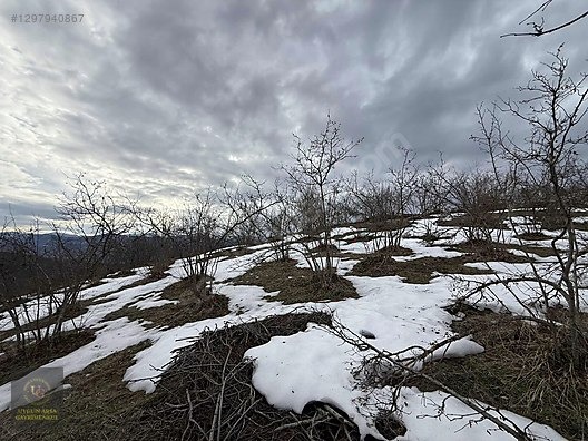 DÜZCE YIĞILCA HACILAR 'DA 2.744 M2 BAĞ EVİ OLAN FINDIK BAHÇESİ - DÜZCE YIĞILCA fotoğraf 13
