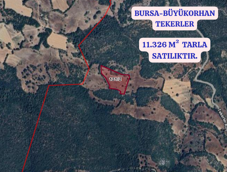 BURSA BÜYÜKORHAN TEKERLER   KÖYÜNDE 11.326  M² TARLA  SATILIKTIR - BURSA BÜYÜKORHAN fotoğraf 2