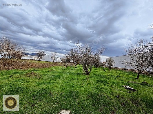 ŞİRİNEVLER MH SATILIK FABİRKA VE DEPO ARSASI - BURSA YILDIRIM fotoğraf 14