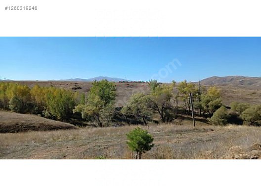 SİVAS İMRANLI YAZILI   KÖYÜNDE  86  M²  BAHÇE  SATILIKTIR - SİVAS İMRANLI fotoğraf 3