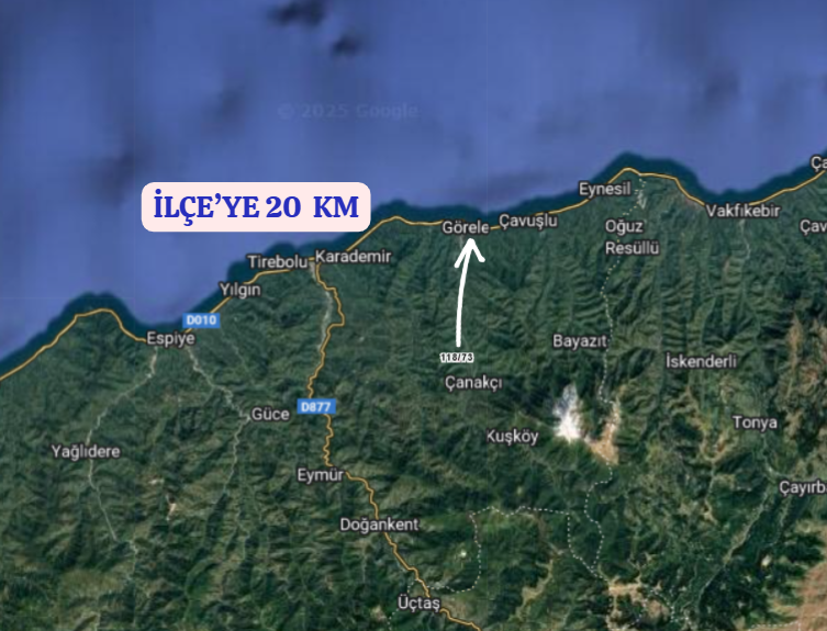 GİRESUN GÖRELE ESENYURT   KÖYÜNDE 264 M²  FINDIK BAHÇESİ  SATILIKTIR - GİRESUN GÖRELE fotoğraf 5