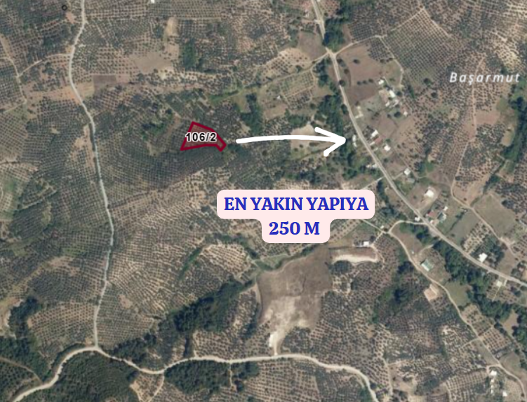 BURSA MUDANYA DEREKÖY KÖYÜNDE 2.706 M²  ZEYTİNLİK SATILIKTIR - BURSA MUDANYA fotoğraf 4